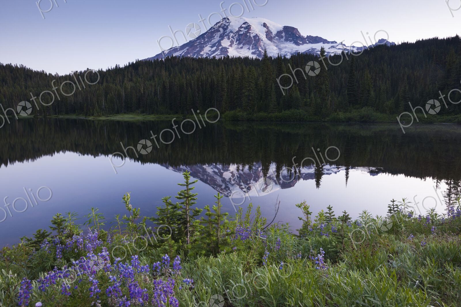 Mount Rainier, a snowcapped peak in Washington, USA