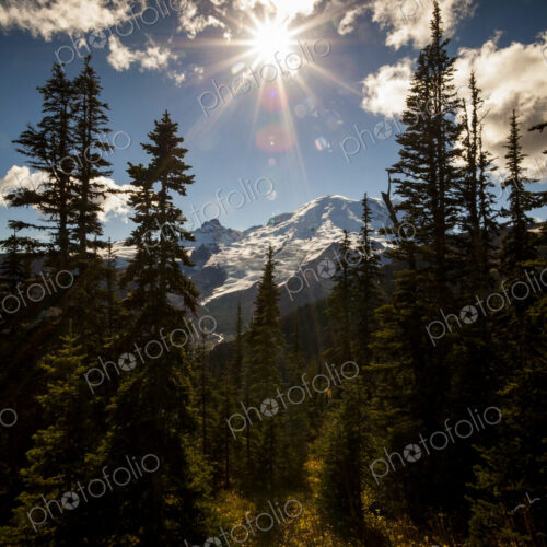 Mount Rainier, view through woodland to the mountains, a bright sun in the sky with…