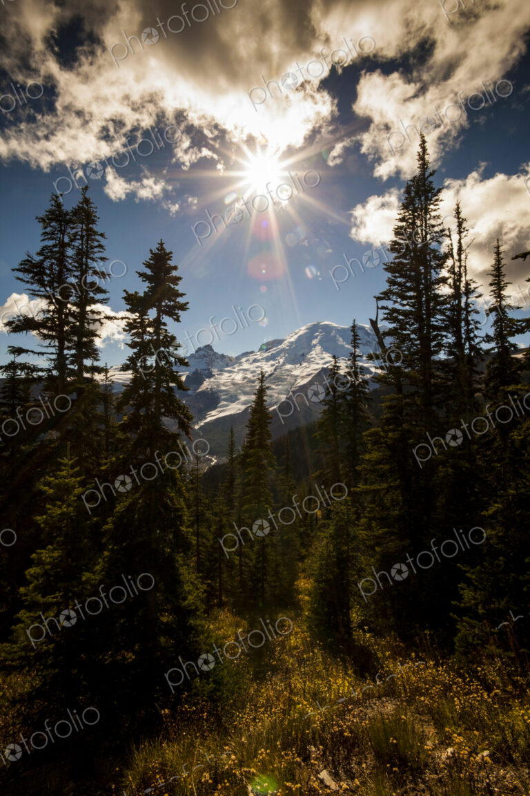 Mount Rainier, view through woodland to the mountains, a bright sun in the sky with…