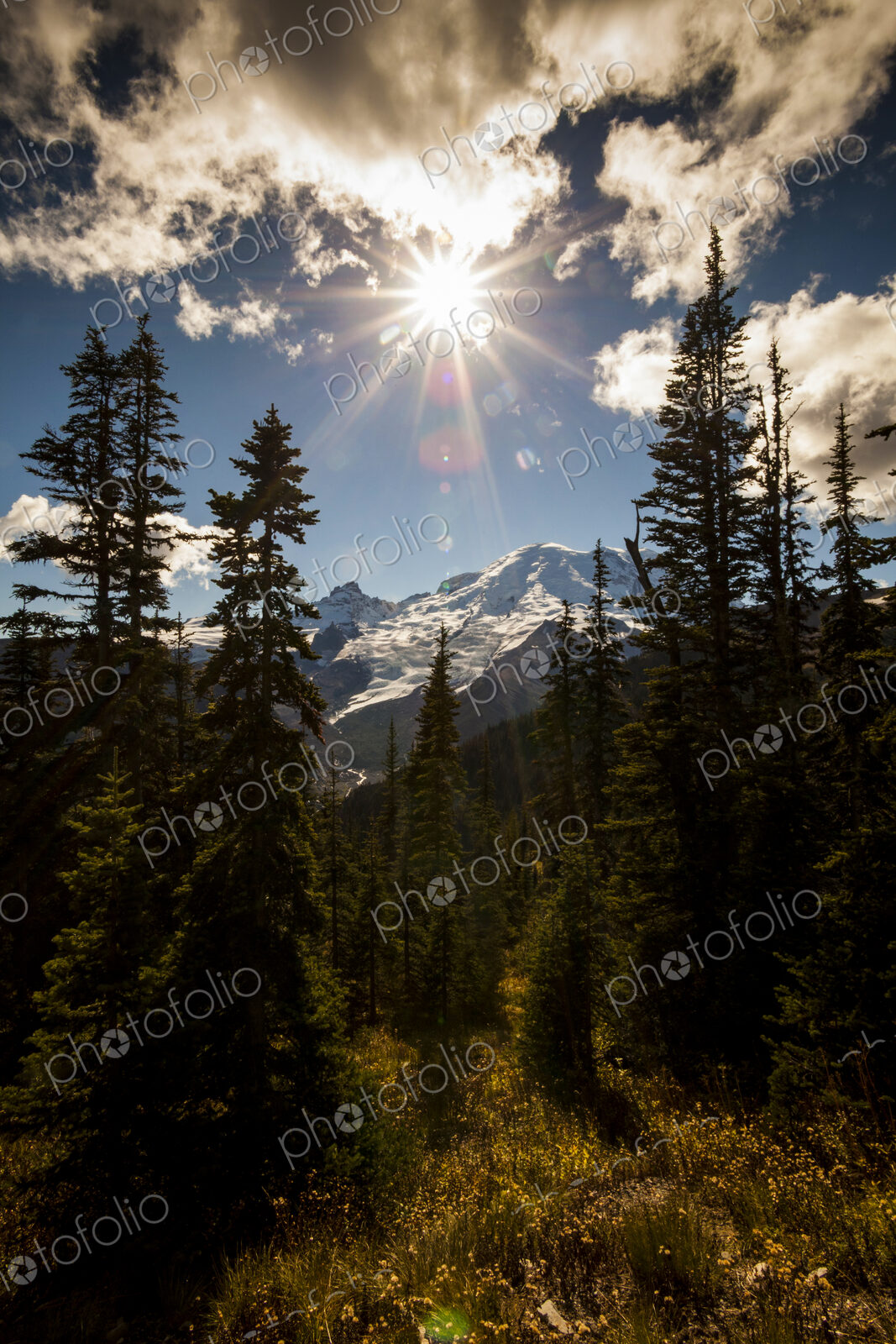 Mount Rainier, view through woodland to the mountains, a bright sun in the sky with…