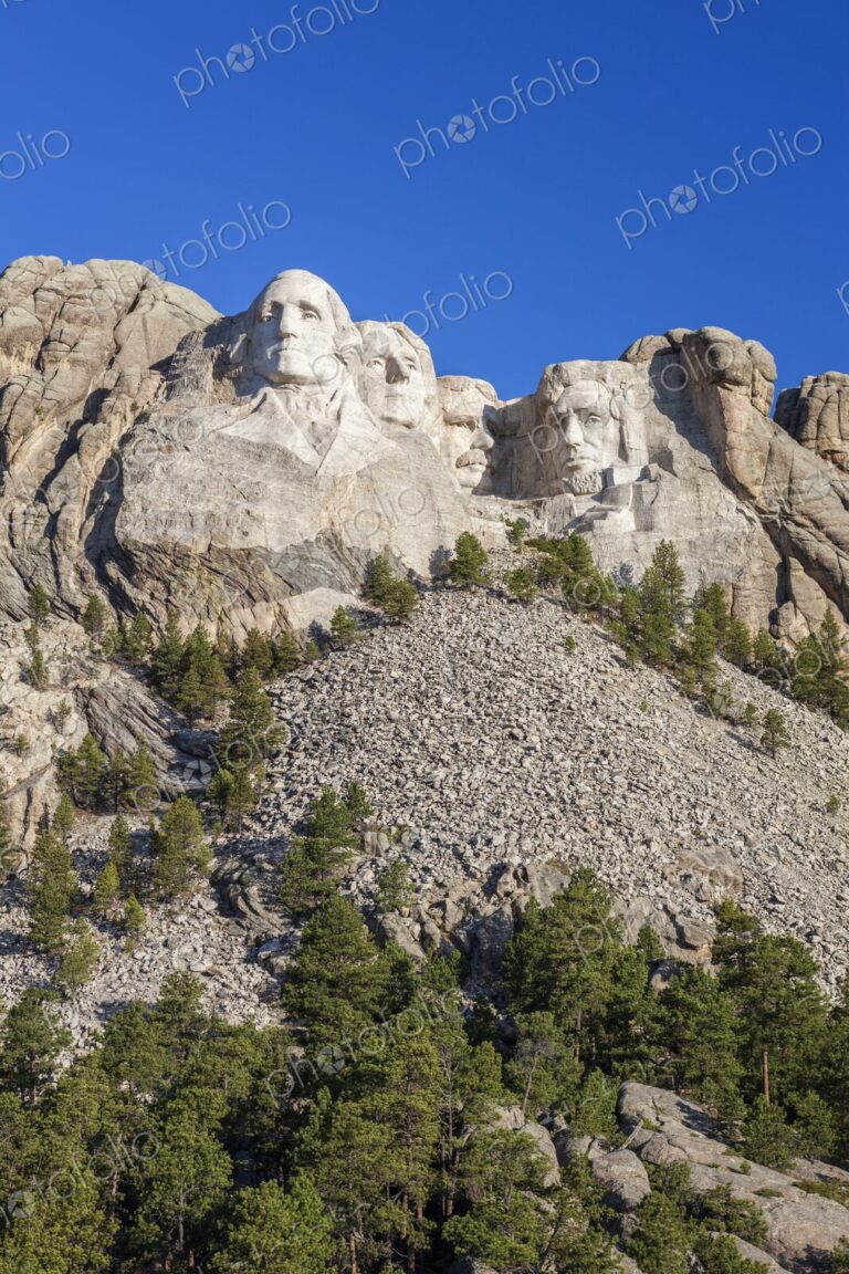 Mount Rushmore with four presidential sculptures carved in granite above pine forest…
