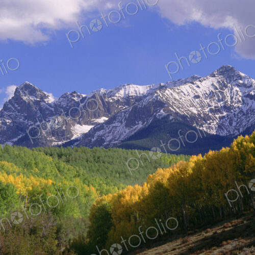Mount Sneffels in the San Juan Mountains, in Ouray County. Aspen trees in autumn. Mount Sneffels in the San Juan Mountains, in Ouray County. Aspen trees in autumn.