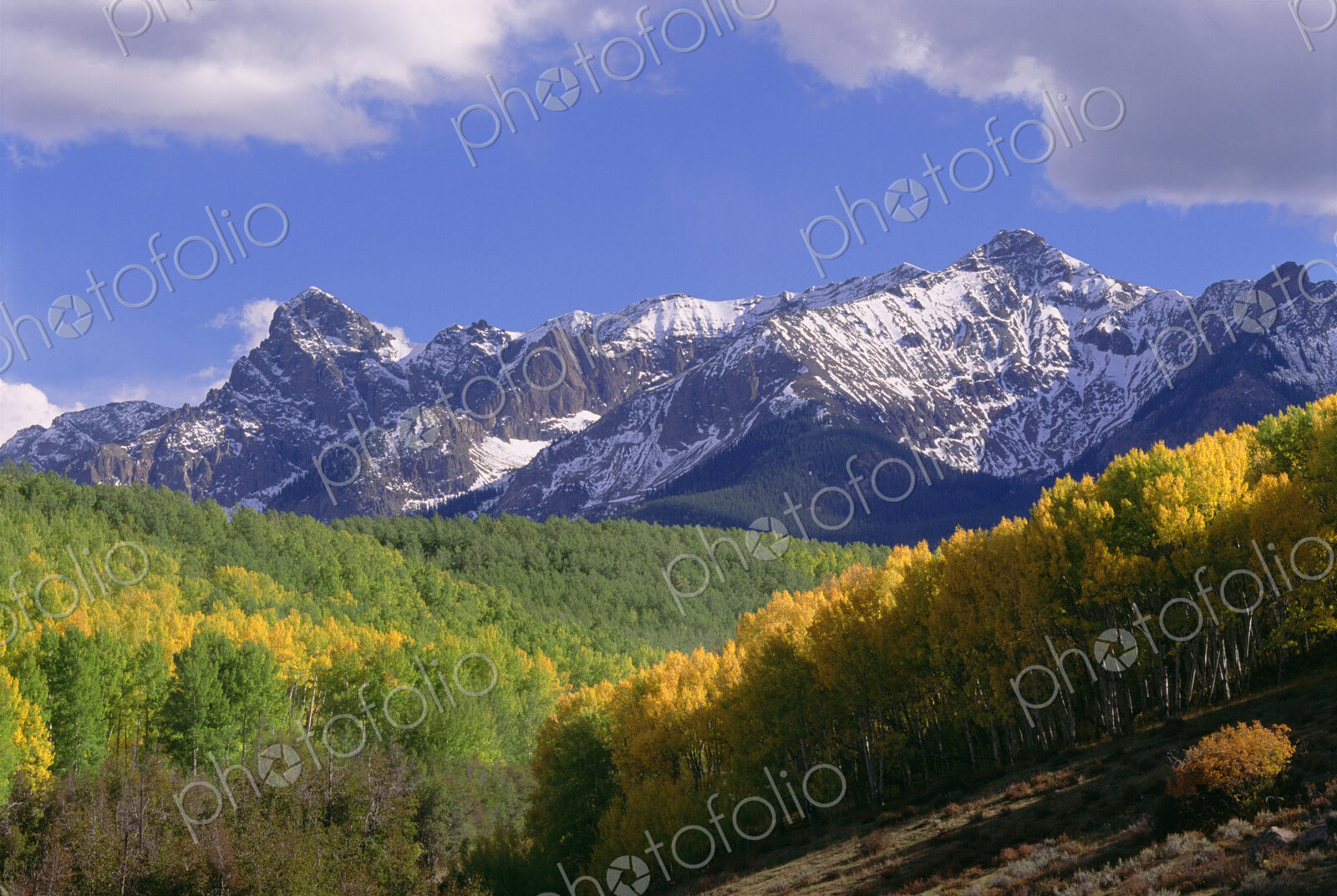 Mount Sneffels in the San Juan Mountains, in Ouray County. Aspen trees in autumn.