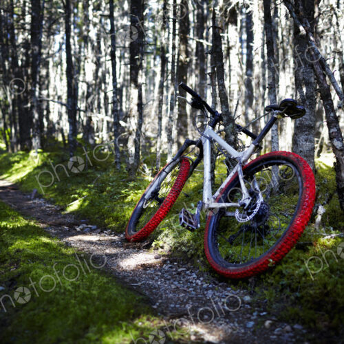 Mountain Bike on Trail Mountain Bike on Trail