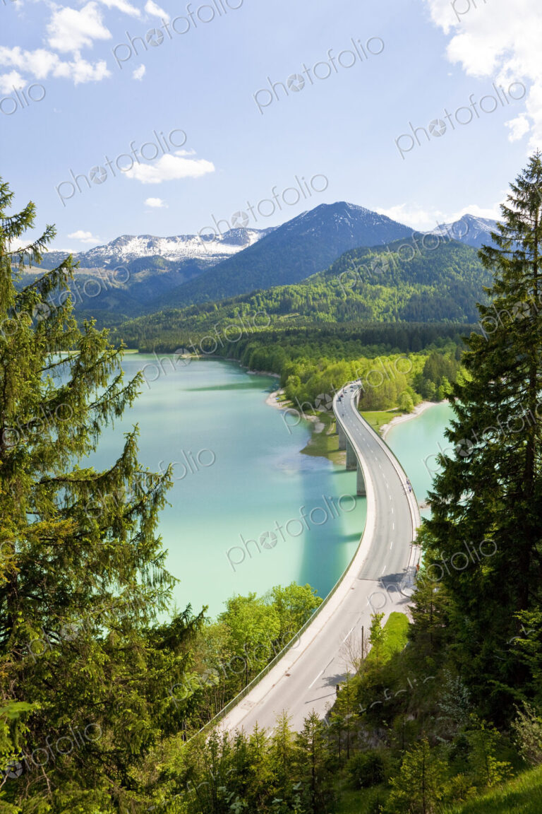 Mountain landscape with forests and bridge crossing dam in the foreground.