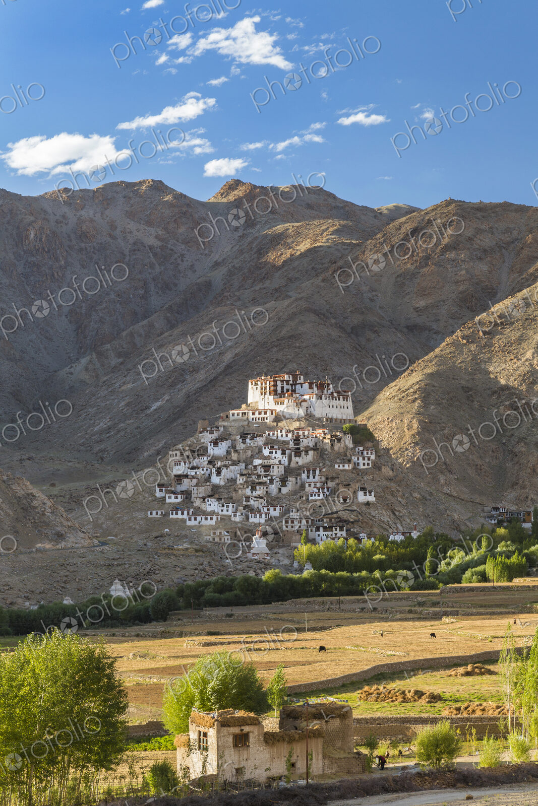 Mountain landscape with monastery.