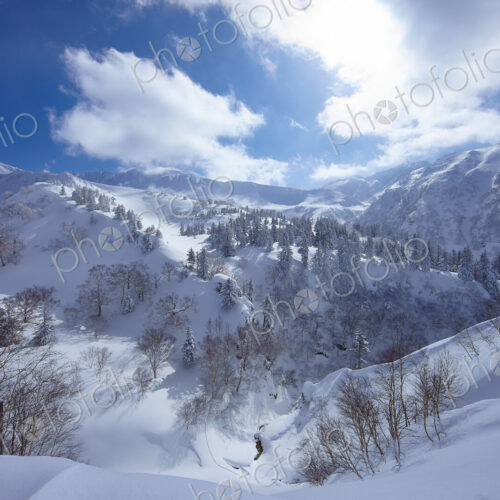 Mountainous landscape with trees on snow-covered slopes under a cloudy sky. Mountainous landscape with trees on snow-covered slopes under a cloudy sky.