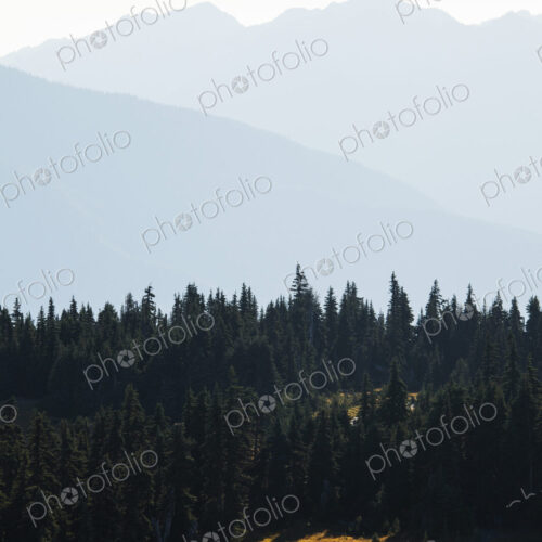 Mountains of Hurricane Ridge in Olympic National Park.