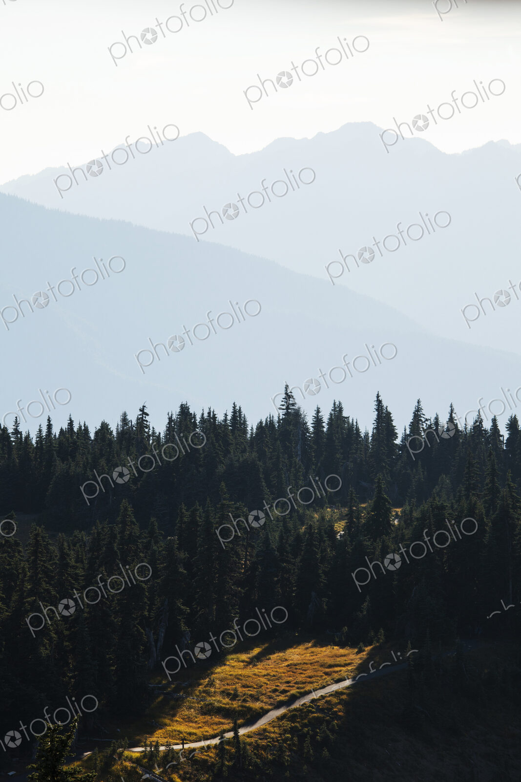 Mountains of Hurricane Ridge in Olympic National Park.