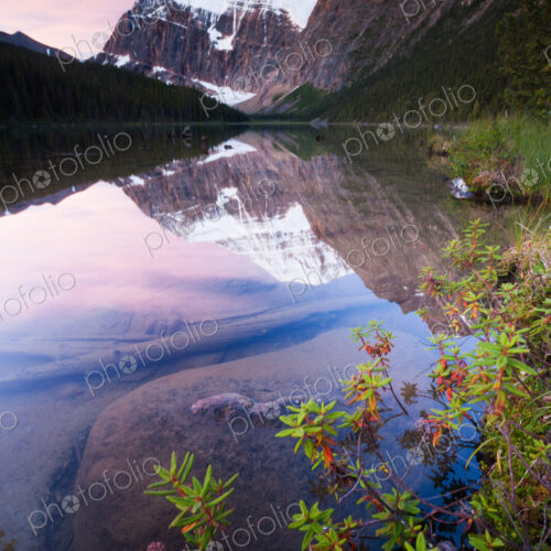 Mt. Edith Cavell, Jasper National Park, Canada Mt. Edith Cavell, Jasper National Park, Canada
