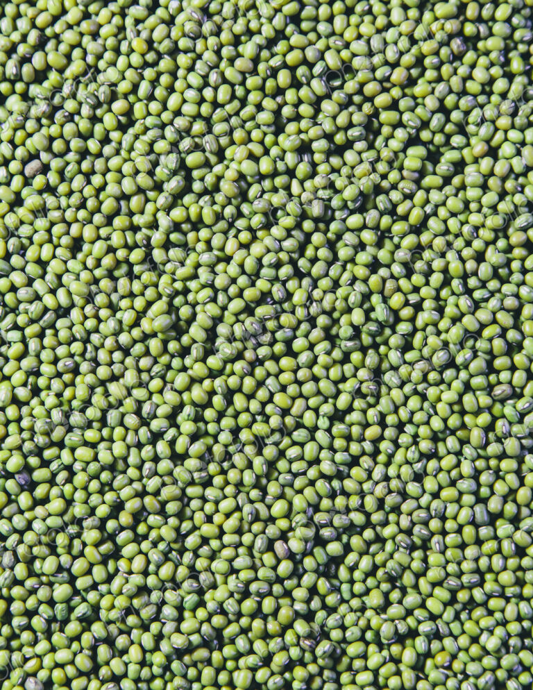 Mung beans, also known as green gram or golden gram, native to India.
