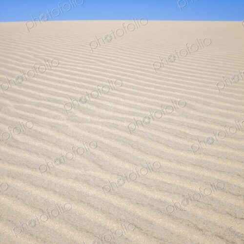 Natural wind-swept patterns on a sunlit sand dune beneath a vivid blue desert sky.… Natural wind-swept patterns on a sunlit sand dune beneath a vivid blue desert sky.…