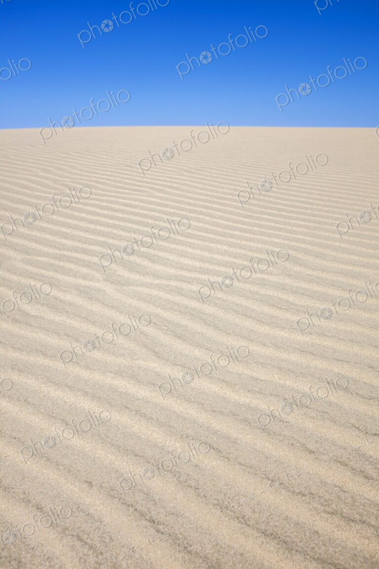 Natural wind-swept patterns on a sunlit sand dune beneath a vivid blue desert sky.…