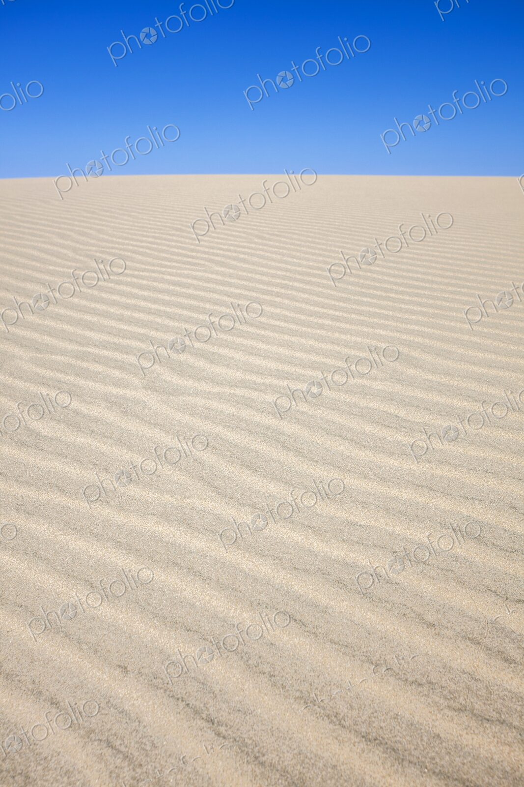 Natural wind-swept patterns on a sunlit sand dune beneath a vivid blue desert sky.…