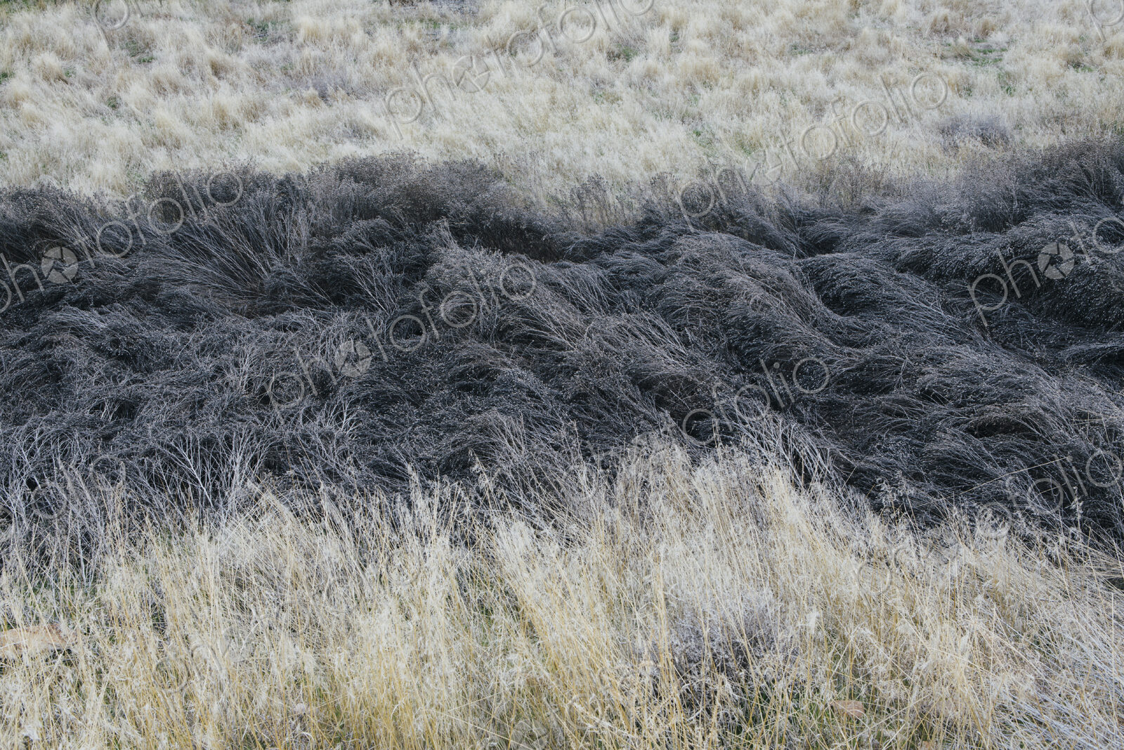 Near John Day Fossil Beds National Monument