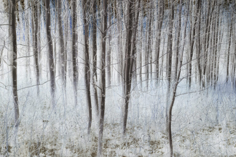 Near Leavenworth, Washington