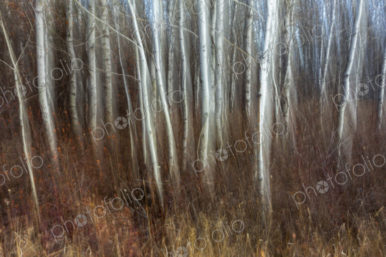 Near Leavenworth, Washington