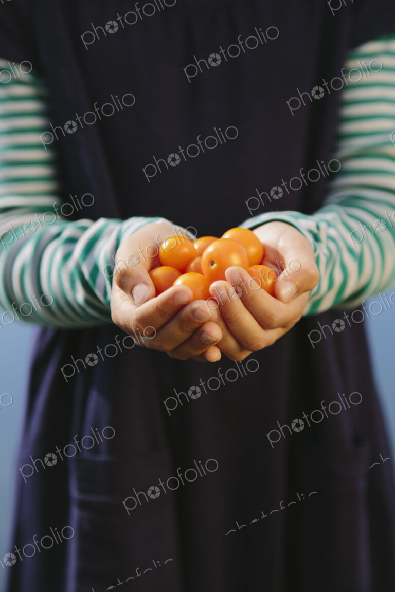 Nine year old girl holding handful of organic yellow cherry tomatoes