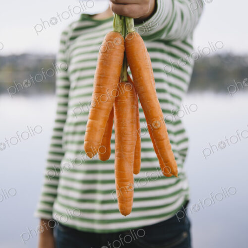 Nine year old girl holding organic carrots
