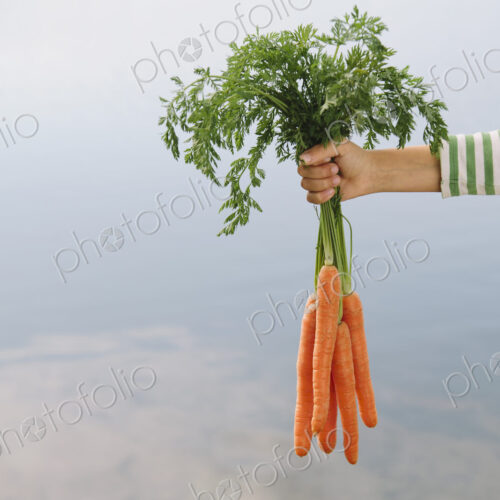 Nine year old girl holding organic carrots Nine year old girl holding organic carrots