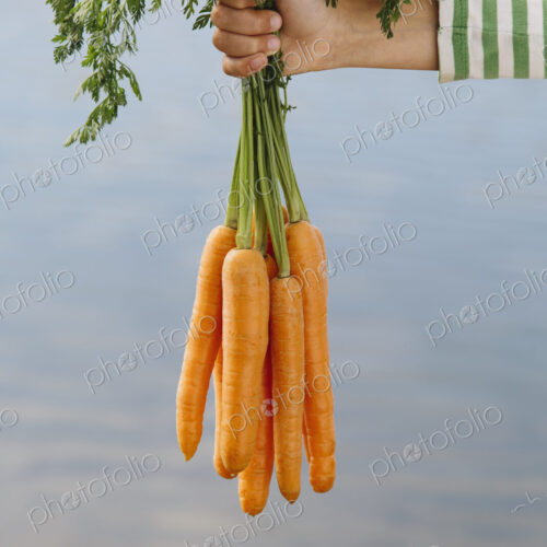 Nine year old girl holding organic carrots Nine year old girl holding organic carrots