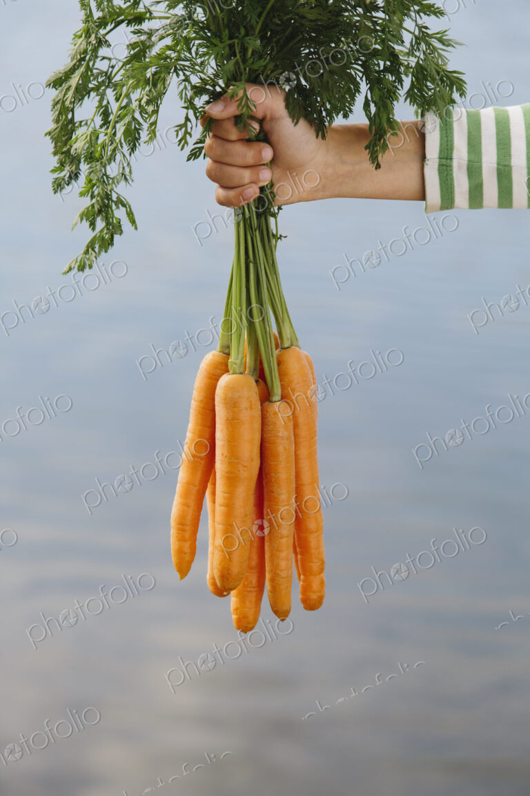 Nine year old girl holding organic carrots