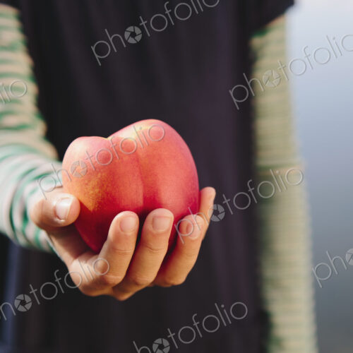 Nine year old girl holding organic nectarine Nine year old girl holding organic nectarine