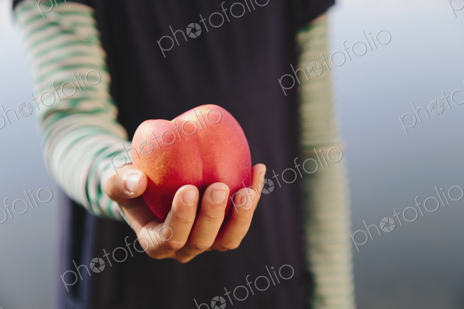 Nine year old girl holding organic nectarine