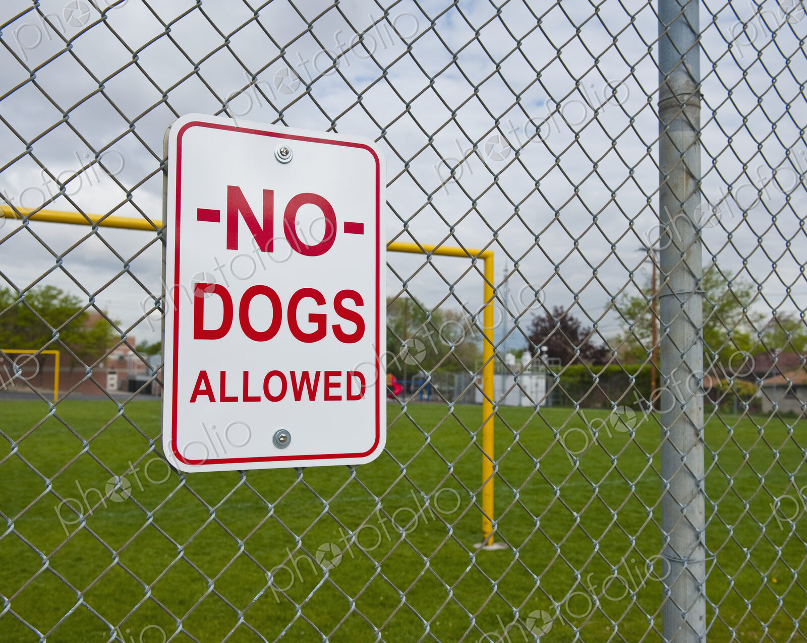 No Dogs Allowed Sign