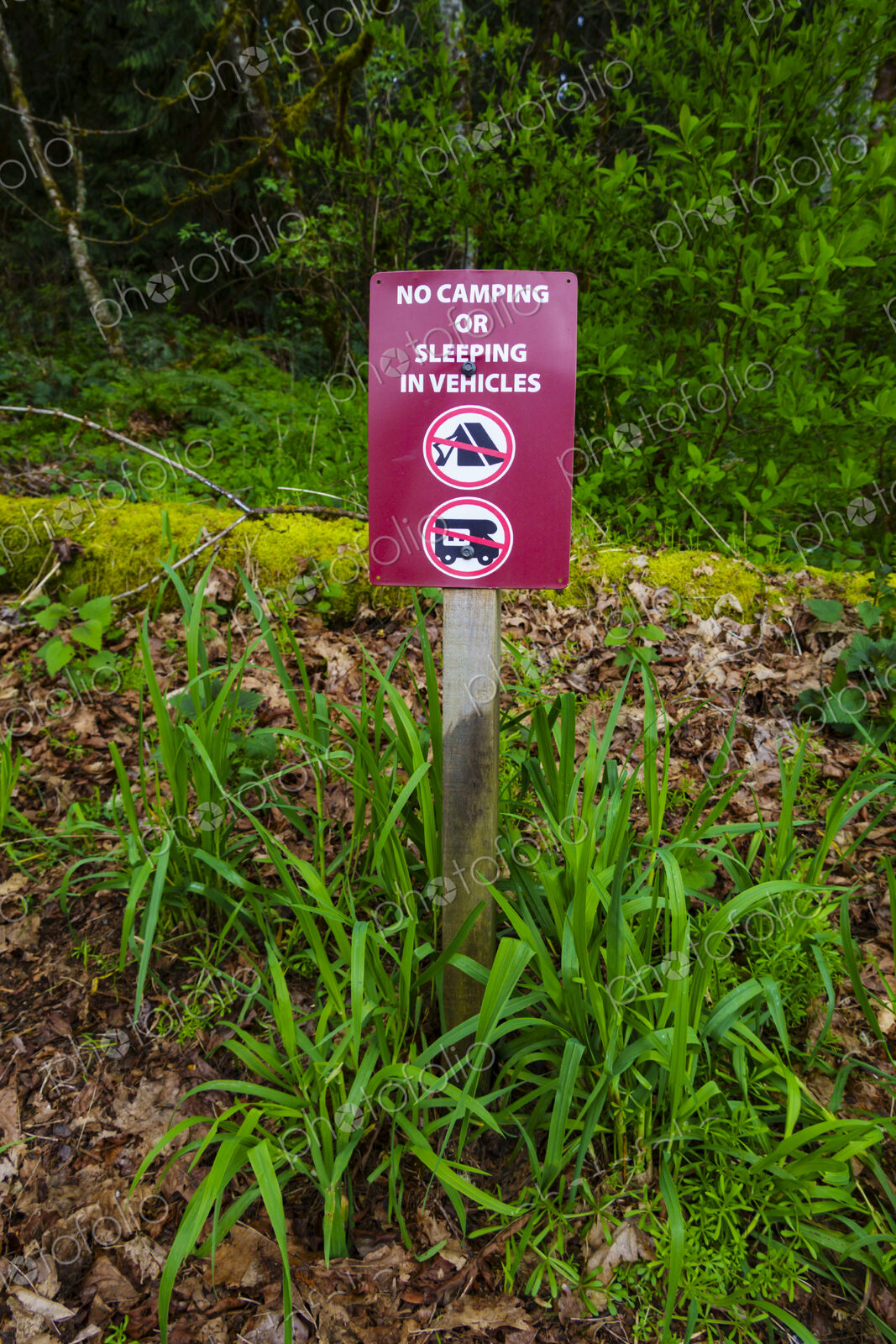 No camping or sleeping in vehicles sign in outdoor area, Port Angeles, WA USA