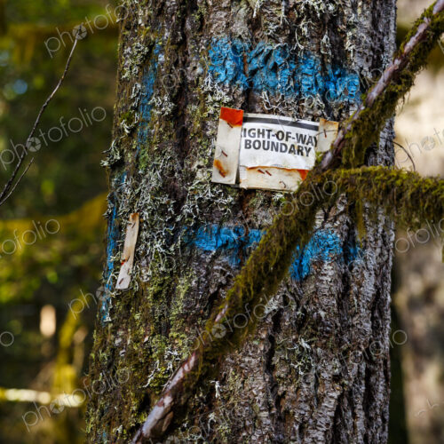 North America, Olympic Peninsula, Pacific Northwest North America, Olympic Peninsula, Pacific Northwest