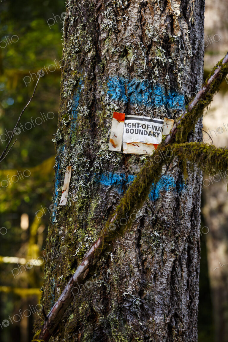North America, Olympic Peninsula, Pacific Northwest