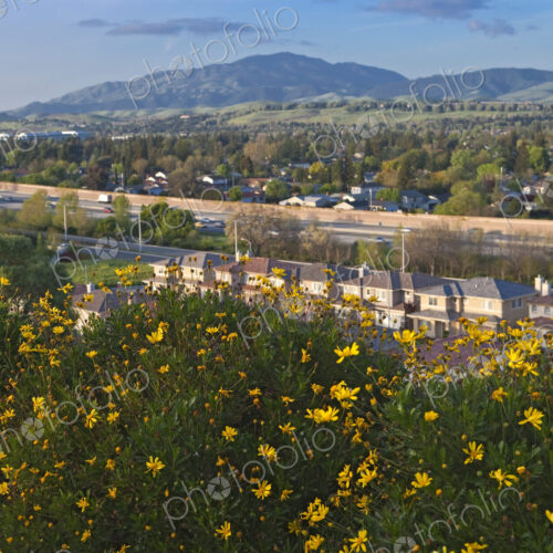Northern California Landscape