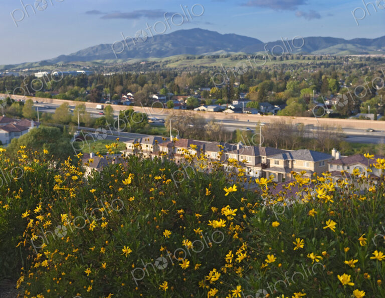 Northern California Landscape