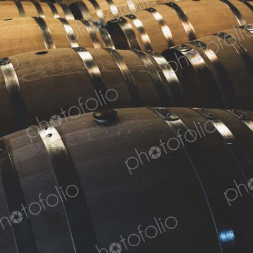 Oak wine barrels in a winery.