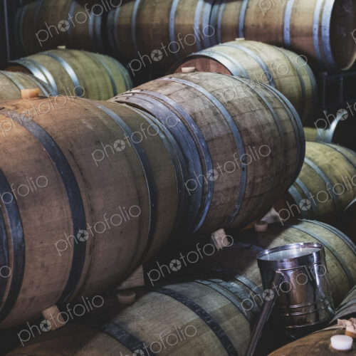 Oak wine barrels in a winery.