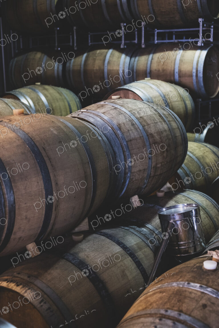 Oak wine barrels in a winery.