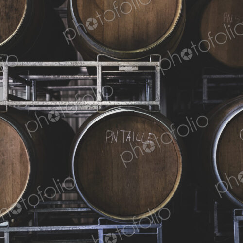 Oak wine barrels in a winery.