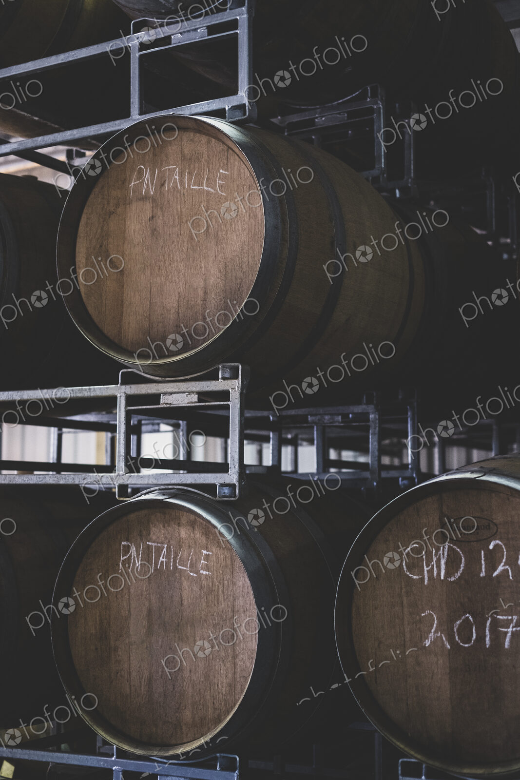 Oak wine barrels in a winery.