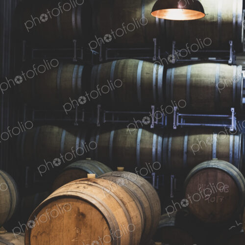 Oak wine barrels in a winery.