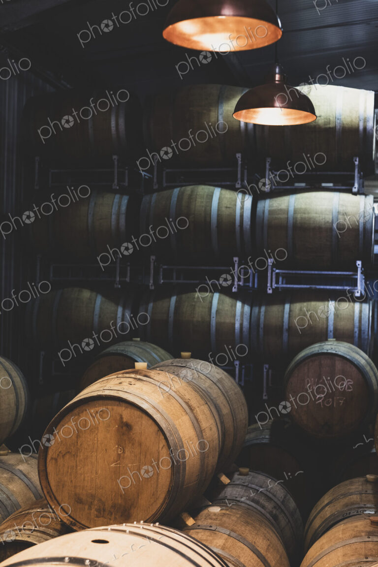 Oak wine barrels in a winery.