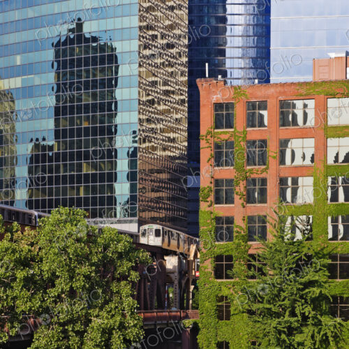 Office Buildings Along the Chicago River