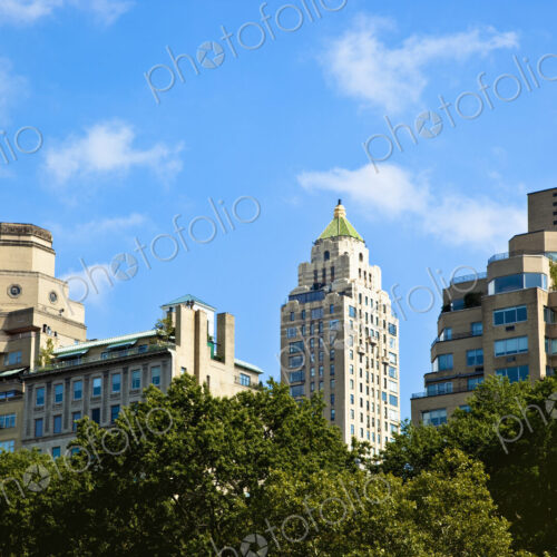 Office Buildings from Central Park Office Buildings from Central Park
