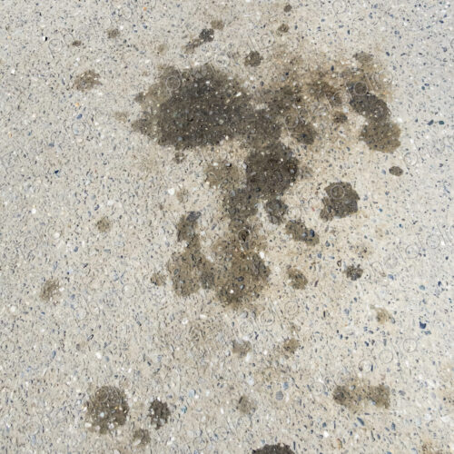 Oil splotches on a pavement. Oil splotches on a pavement.