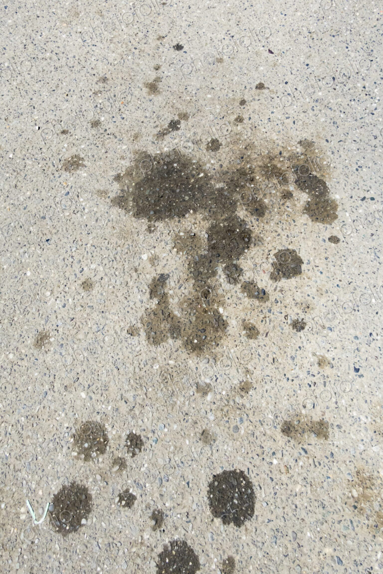 Oil splotches on a pavement.
