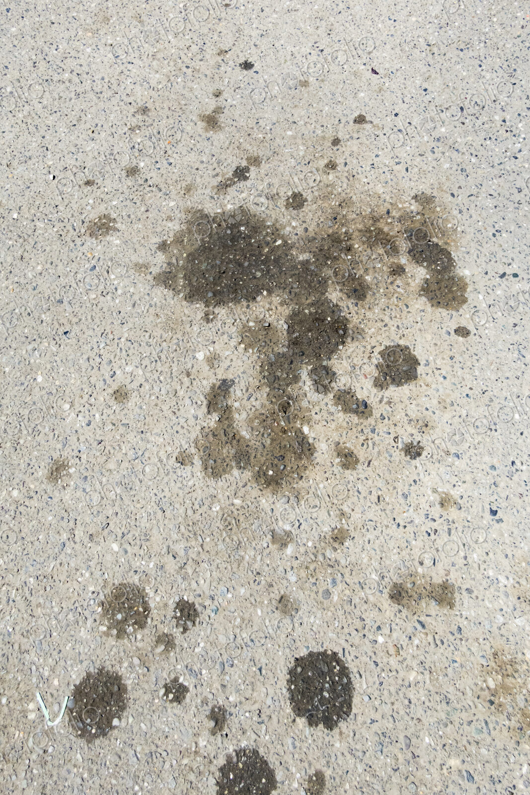 Oil splotches on a pavement.