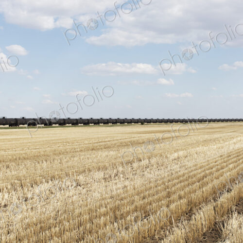 Oil train cars and fallow farmland, near Swift Current, Saskatchewan, Canada. Oil train cars and fallow farmland, near Swift Current, Saskatchewan, Canada.
