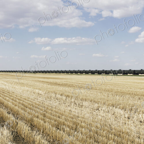 Oil train cars and fallow farmland, near Swift Current, Saskatchewan, Canada. Oil train cars and fallow farmland, near Swift Current, Saskatchewan, Canada.