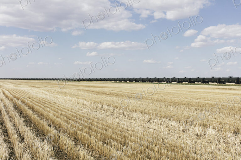 Oil train cars and fallow farmland, near Swift Current, Saskatchewan, Canada.
