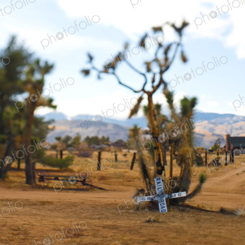 Old Railroad Crossing Sign in Desert